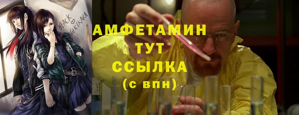 сатива Инта